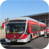 LA Metro Rapid Articulated buses
